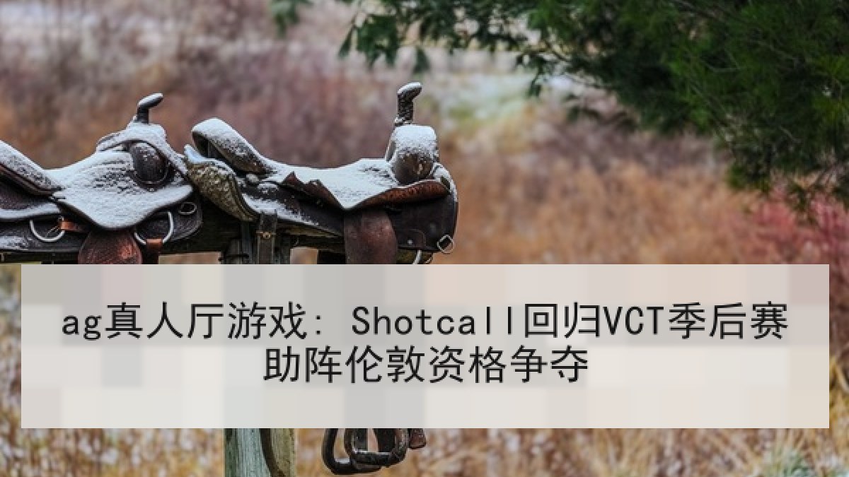 ag真人厅游戏: Shotcall回归VCT季后赛助阵伦敦资格争夺
