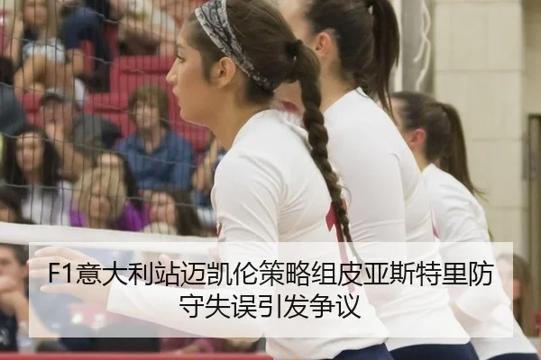 yi-da-li-zhan-mai-kai-lun-ce-lve-zu-pi-ya-si-te-li-fang-shou-shi-wu-yin-fa-zheng-yi-2-438.jpg