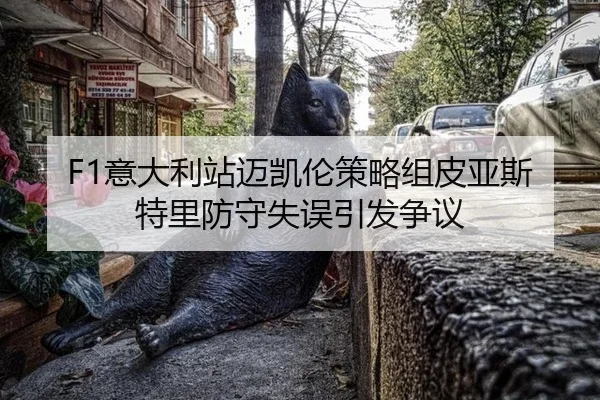 yi-da-li-zhan-mai-kai-lun-ce-lve-zu-pi-ya-si-te-li-fang-shou-shi-wu-yin-fa-zheng-yi-3-400.jpg