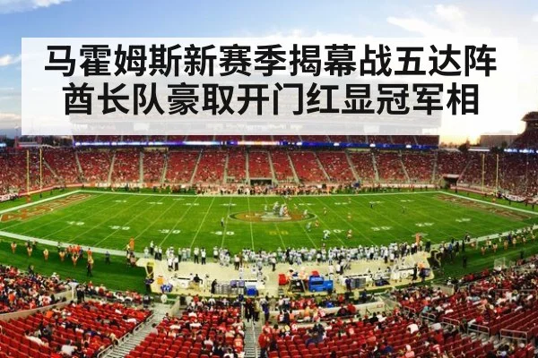 NFL football stadium crowd